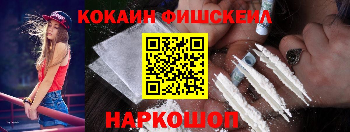 A PVP Сегежа