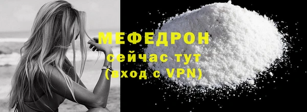 шишки Ельня
