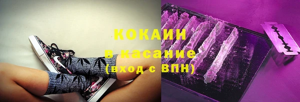 шишки Ельня