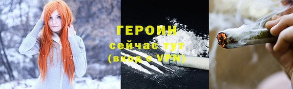 шишки Ельня