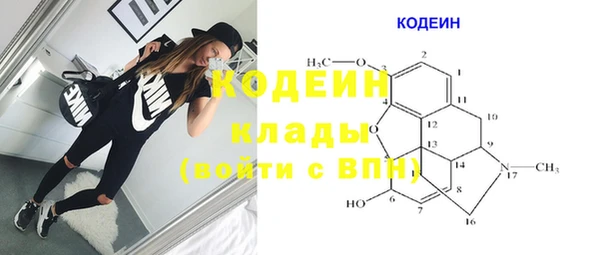 шишки Ельня