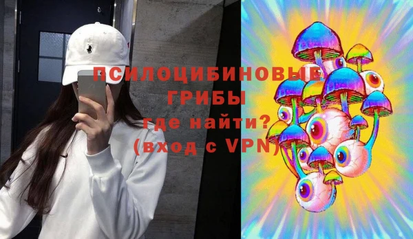 стаф Заводоуковск