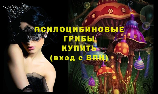 шишки Ельня