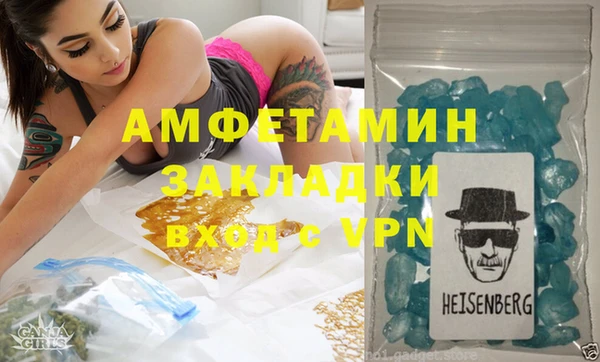 шишки Ельня