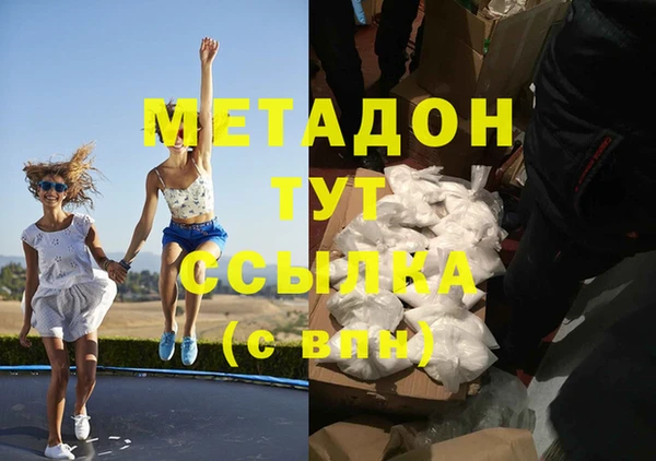 шишки Ельня