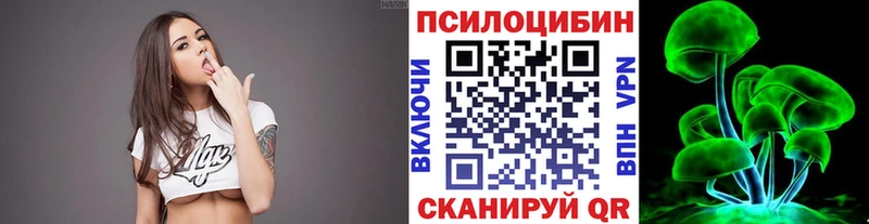 kraken tor Сегежа Галлюциногенные грибы Cubensis