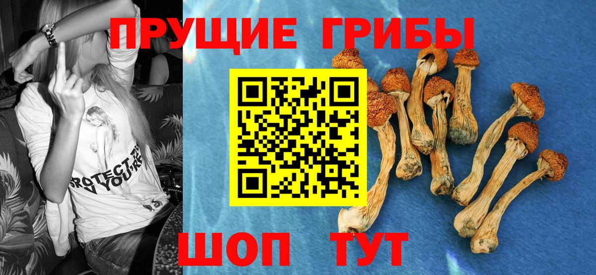 Псилоцибиновые грибы прущие грибы  Вход с VPN  Сегежа 