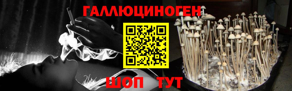 Галлюциногенные грибы прущие грибы Сегежа
